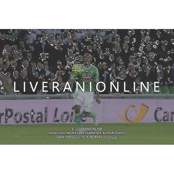 Kevin THEOPHILE CATHERINE - 21.12.2014 - Saint Etienne / Evian Thonon - 19eme journee de Ligue 1 Photo : Jean Paul Thomas / Icon Sport AG ALDO LIVERANI SAS ONLY ITALY