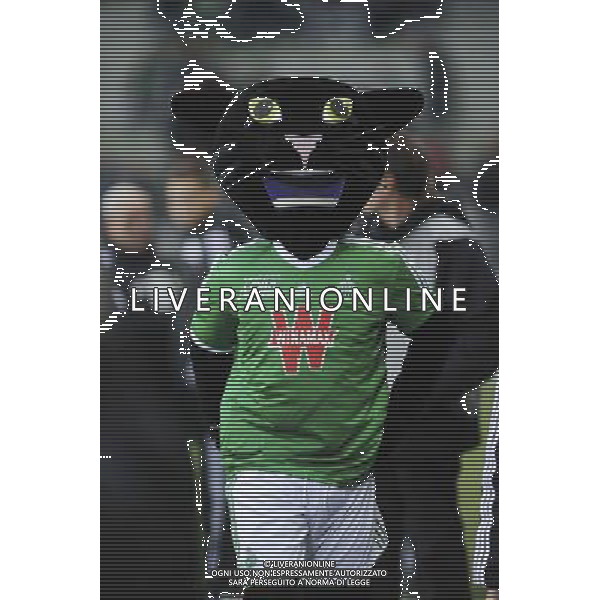 MASCOTTE DE SAINT ETIENNE - 21.12.2014 - Saint Etienne / Evian Thonon - 19eme journee de Ligue 1 Photo : Jean Paul Thomas / Icon Sport AG ALDO LIVERANI SAS ONLY ITALY