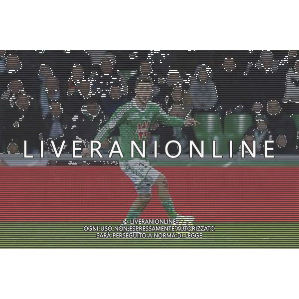 Ricky VAN WOLFSWINKEL - 21.12.2014 - Saint Etienne / Evian Thonon - 19eme journee de Ligue 1 Photo : Jean Paul Thomas / Icon Sport AG ALDO LIVERANI SAS ONLY ITALY