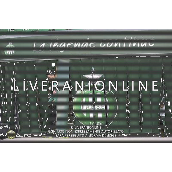 Ricky VAN WOLFSWINKEL - 21.12.2014 - Saint Etienne / Evian Thonon - 19eme journee de Ligue 1 Photo : Jean Paul Thomas / Icon Sport AG ALDO LIVERANI SAS ONLY ITALY