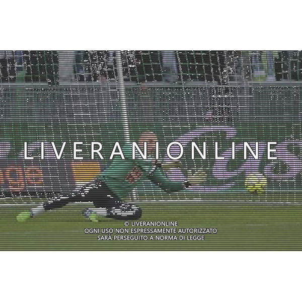 Stephane RUFFIER - 21.12.2014 - Saint Etienne / Evian Thonon - 19eme journee de Ligue 1 Photo : Jean Paul Thomas / Icon Sport AG ALDO LIVERANI SAS ONLY ITALY