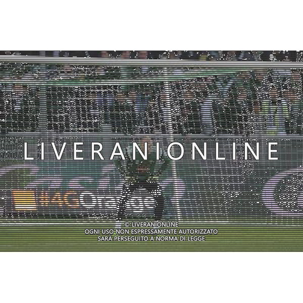 Stephane RUFFIER - 21.12.2014 - Saint Etienne / Evian Thonon - 19eme journee de Ligue 1 Photo : Jean Paul Thomas / Icon Sport AG ALDO LIVERANI SAS ONLY ITALY
