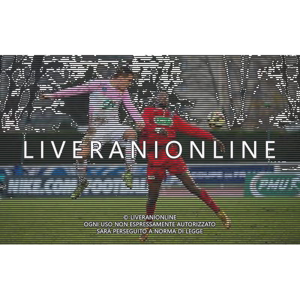 Nicki NIELSEN / Kassoum KONATE - 03.01.2015 - Bobigny / Evian Thonon - Coupe de France Photo : Dave Winter / Icon Sport AG ALDO LIVERANI SAS ONLY ITALY