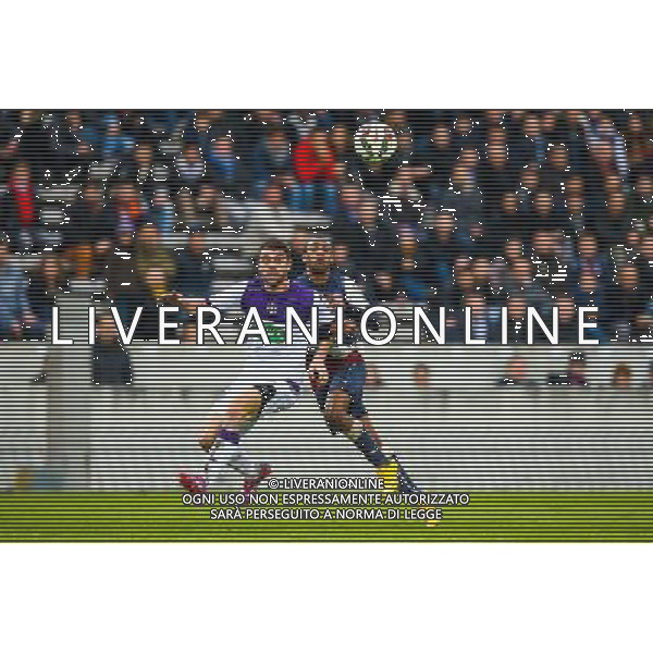Diego Rolan / Pavle Ninkov - 04.01.2015 - Bordeaux / Toulouse - Coupe de France Photo : Manuel Blondeau / Icon Sport AG ALDO LIVERANI SAS ONLY ITALY