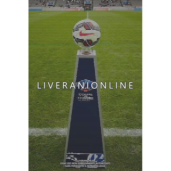 Illustration Coupe de France - 04.01.2015 - Bordeaux / Toulouse - Coupe de France Photo : Manuel Blondeau / Icon Sport AG ALDO LIVERANI SAS ONLY ITALY
