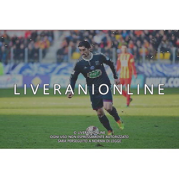 Milan BISEVAC - 04.01.2014 - Lens / Lyon - Coupe de France Photo : Dave Winter / Icon Sport AG ALDO LIVERANI SAS ONLY ITALY