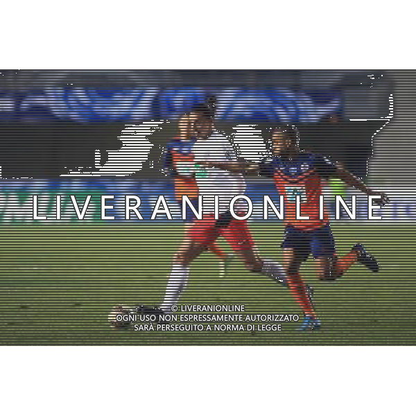 Zlatan IBRAHIMOVIC - 05.01.2015 - Montpellier / PSG - Coupe de France Photo : Nicolas Guyonnet / Icon Sport /Agenzia Aldo Liverani sas - ITALY ONLY - EDITORIAL USE ONLY