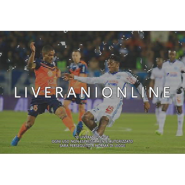 Vitorino HILTON / Michy BATSHUAYI - 09.01.2015 - Montpellier / Marseille - 20eme journee de Ligue 1 Photo : Nicolas Guyonnet / Icon Sport AG ALDO LIVERANI SAS ONLY ITALY