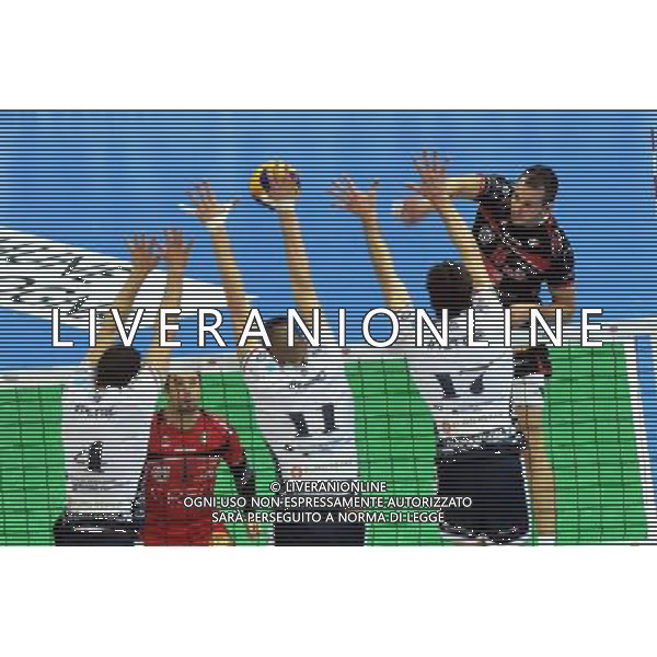 MODENA VOLLEY - LUBE MARCHE SEMIFINALE COPPA ITALIA PALLAVOLO MASCHILE A BOLOGNA 10 GENNAIO 2015 NELLA FOTO KUREK ©SCHICCHI/AGENZIA ALDO LIVERANI SAS