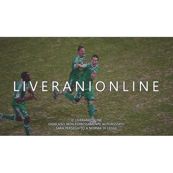 Joie Romain HAMOUMA - 10.01.2015 - Reims / Saint Etienne - 20eme journee de Ligue 1 Photo : Dave Winter / Icon Sport AG ALDO LIVERANI SAS ONLY ITALY