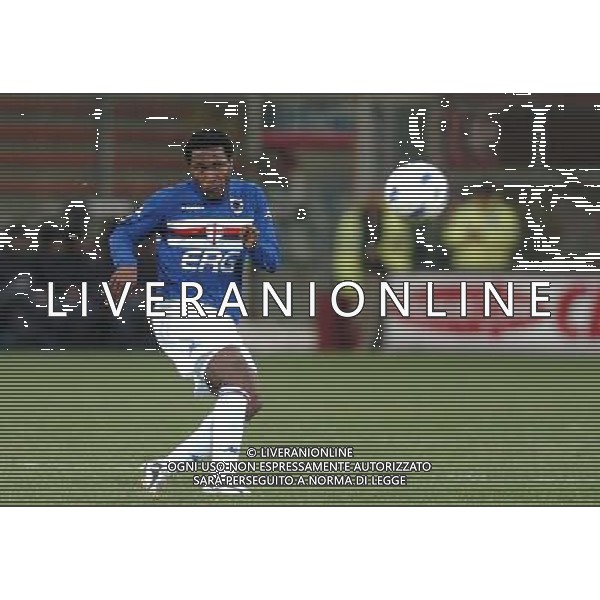 GENOVA 12/01/05 COPPA ITALIA TIM 2004/05 SAMPDORIA-TORINO NELLA FOTO EDUSEI MARK PH GIGI ARCAINI/G.ALDO LIVERANI