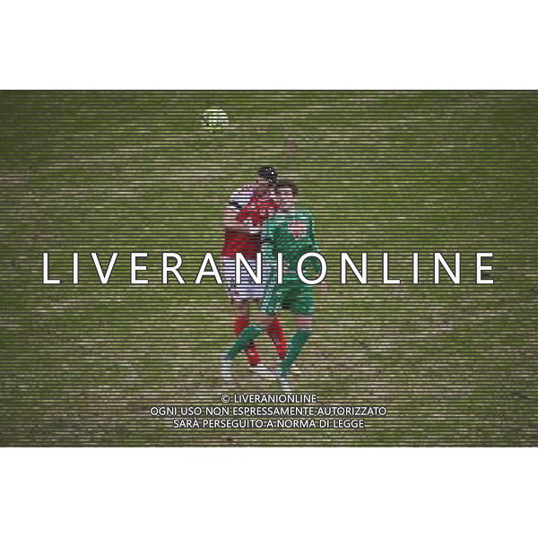 Benjamin CORGNET / Valentin ROBERGE - 10.01.2015 - Reims / Saint Etienne - 20eme journee de Ligue 1 Photo : Dave Winter / Icon Sport AG ALDO LIVERANI SAS ONLY ITALY