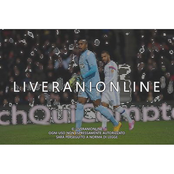Ali AHAMADA - 11.01.2015 - Lyon / Toulouse - 20eme journee de Ligue 1 Photo : Jean Paul Thomas / Icon Sport /Agenzia Aldo Liverani sas - ITALY ONLY - EDITORIAL USE ONLY