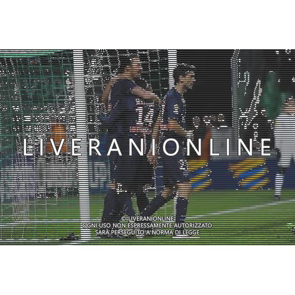 Joie PSG - Zlatan IBRAHIMOVIC - 13.01.2015 - Saint Etienne / Paris Saint Germain - 1/4Finale Coupe de la Ligue Photo : Jean Paul Thomas / Icon Sport /Agenzia Aldo Liverani Sas - ITALY ONLY - EDITORIAL USE ONLY