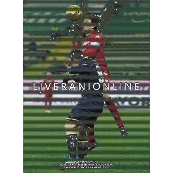 Coppa Italia TIM Cup 2014/2015 Ottavi di Finale Parma - 14.01.2015 Parma-Cagliari Nella Foto: daniele conti e antonio cassano /Ph.Vitez-Ag. Aldo Liverani