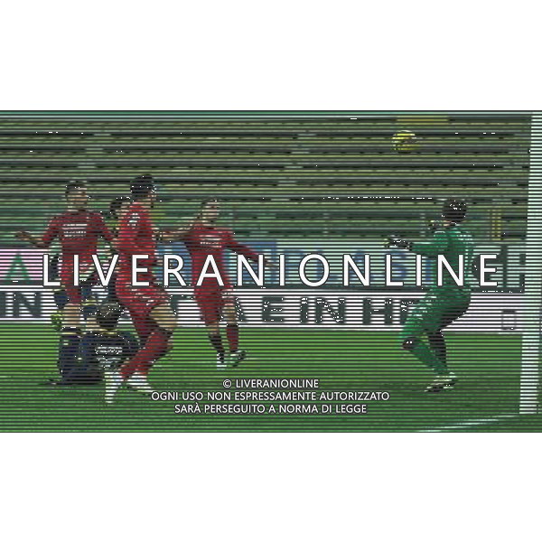 Coppa Italia TIM Cup 2014/2015 Ottavi di Finale Parma - 14.01.2015 Parma-Cagliari Nella Foto: il gol di gabriel paletta /Ph.Vitez-Ag. Aldo Liverani