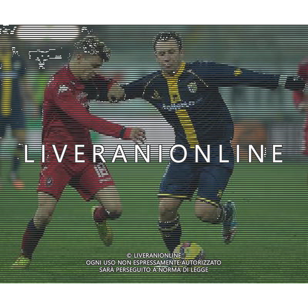 Coppa Italia TIM Cup 2014/2015 Ottavi di Finale Parma - 14.01.2015 Parma-Cagliari Nella Foto:Cassano Antonio-Barella Nicolo\' /Ph.Vitez-Ag. Aldo Liverani