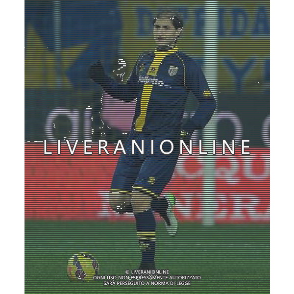Coppa Italia TIM Cup 2014/2015 Ottavi di Finale Parma - 14.01.2015 Parma-Cagliari Nella Foto:Paletta Gabriel /Ph.Vitez-Ag. Aldo Liverani