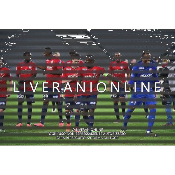 Joie Lille - Rio MAVUBA / Vincent ENYEAMA - 14.01.2014 - Lille / Nantes - 1/4Finale Coupe de la Ligue Photo : Dave Winter / Icon Sport AG ALDO LIVERANI SAS ONLY ITALY