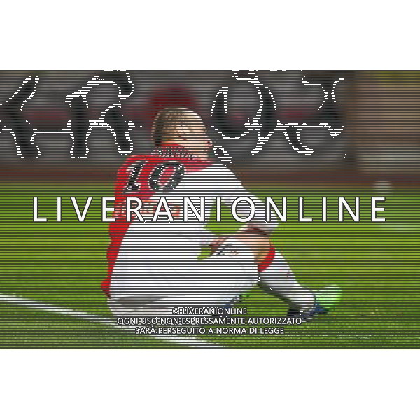 Dimitar BERBATOV - 14.01.2015 - Monaco / Guingamp - 1/4Finale Coupe de la Ligue Photo : Jean Christophe Magnenet / Icon Sport AG ALDO LIVERANI SAS ONLY ITALY /Agenzia Aldo Liverani sas - ITALY ONLY - EDITORIAL USE ONLY