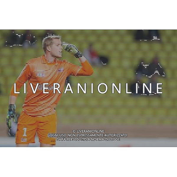 Jonas LOSSL - 14.01.2015 - Monaco / Guingamp - 1/4Finale Coupe de la Ligue Photo : Jean Christophe Magnenet / Icon Sport AG ALDO LIVERANI SAS ONLY ITALY /Agenzia Aldo Liverani sas - ITALY ONLY - EDITORIAL USE ONLY