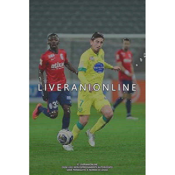 Alejandro BEDOYA - 14.01.2014 - Lille / Nantes - 1/4Finale Coupe de la Ligue Photo : Dave Winter / Icon Sport AG ALDO LIVERANI SAS ONLY ITALY /Agenzia Aldo Liverani sas - ITALY ONLY - EDITORIAL USE ONLY
