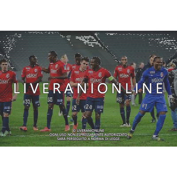 Joie Lille / Rio MAVUBA / Vincent ENYEAMA - 14.01.2014 - Lille / Nantes - 1/4Finale Coupe de la Ligue Photo : Dave Winter / Icon Sport AG ALDO LIVERANI SAS ONLY ITALY /Agenzia Aldo Liverani sas - ITALY ONLY - EDITORIAL USE ONLY