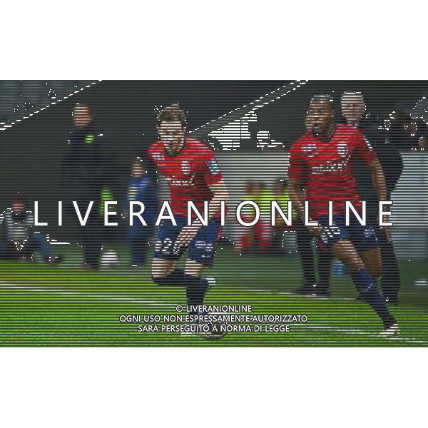 Nolan ROUX - 14.01.2014 - Lille / Nantes - 1/4Finale Coupe de la Ligue Photo : Dave Winter / Icon Sport AG ALDO LIVERANI SAS ONLY ITALY /Agenzia Aldo Liverani sas - ITALY ONLY - EDITORIAL USE ONLY