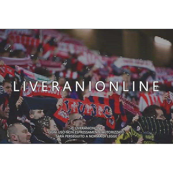 Supporters de Lille - 14.01.2014 - Lille / Nantes - 1/4Finale Coupe de la Ligue Photo : Dave Winter / Icon Sport AG ALDO LIVERANI SAS ONLY ITALY /Agenzia Aldo Liverani sas - ITALY ONLY - EDITORIAL USE ONLY