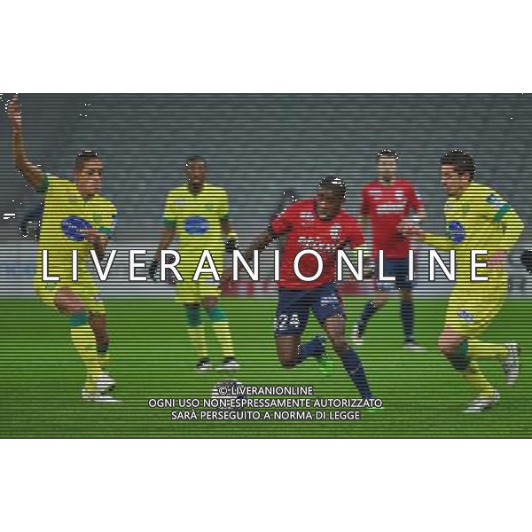 Yacine BAMMOU / Florent BALMONT / Alejandro BEDOYA - 14.01.2014 - Lille / Nantes - 1/4Finale Coupe de la Ligue Photo : Dave Winter / Icon Sport AG ALDO LIVERANI SAS ONLY ITALY /Agenzia Aldo Liverani sas - ITALY ONLY - EDITORIAL USE ONLY
