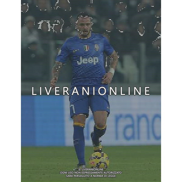 Coppa Italia TIM Cup 2014/2015 Ottavi di Finale Torino - 15.01.2015 Juventus-Verona Nella Foto:Pepe Simone /Ph.Vitez-Ag. Aldo Liverani