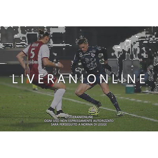Jonas MARTIN - 17.01.2015 - Metz / Montpellier - 21eme journee de Ligue 1 Photo : Fred Marvaux / Icon Sport AG ALDO LIVERANI SAS ONLY ITALY