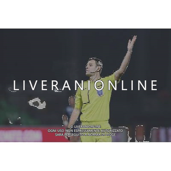 Alexandre CASTRO - 17.01.2015 - Metz / Montpellier - 21eme journee de Ligue 1 Photo : Fred Marvaux / Icon Sport AG ALDO LIVERANI SAS ONLY ITALY