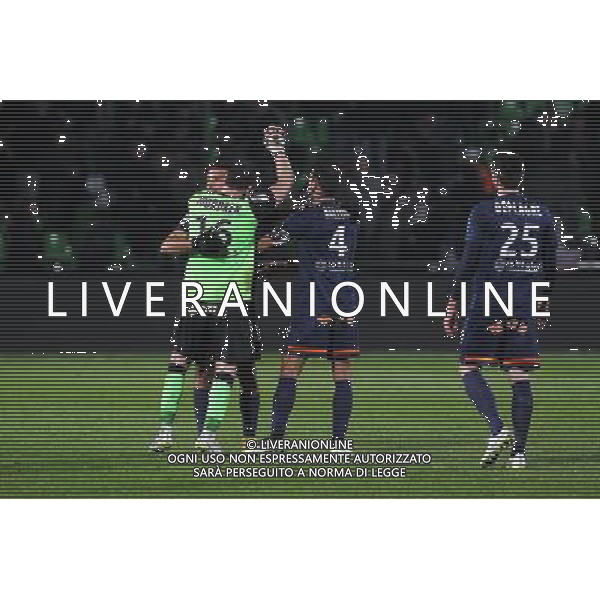 Joie Montpellier - 17.01.2015 - Metz / Montpellier - 21eme journee de Ligue 1 Photo : Fred Marvaux / Icon Sport AG ALDO LIVERANI SAS ONLY ITALY