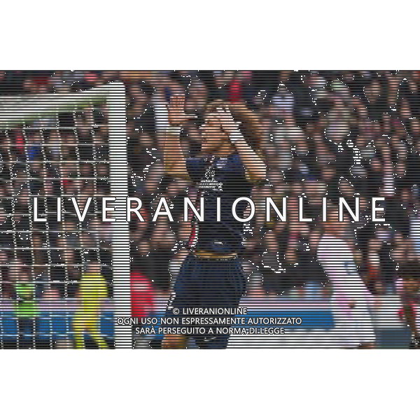 Joie PSG - David LUIZ - 18.01.2015 - Paris Saint Germain / Evian Thonon - 21eme journee de Ligue 1 Photo : Dave Winter / Icon Sport AG ALDO LIVERANI SAS ONLY ITALY