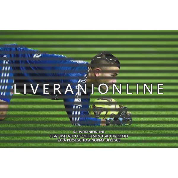 Anthony LOPES - 17.01.2015 - Lens / Lyon - 21eme journee Ligue 1 Photo : Dave Winter / Icon Sport AG ALDO LIVERANI SAS ONLY ITALY