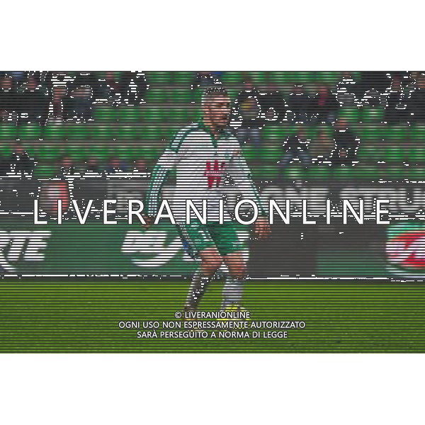 Fabien Lemoine - 18.01.2015 - Rennes / Saint Etienne - 21eme journee de Ligue 1 - Photo : Philippe Le Brech / Icon Sport /Agenzia Aldo Liverani Sas - ITALY ONLY - EDITORIAL USE ONLY