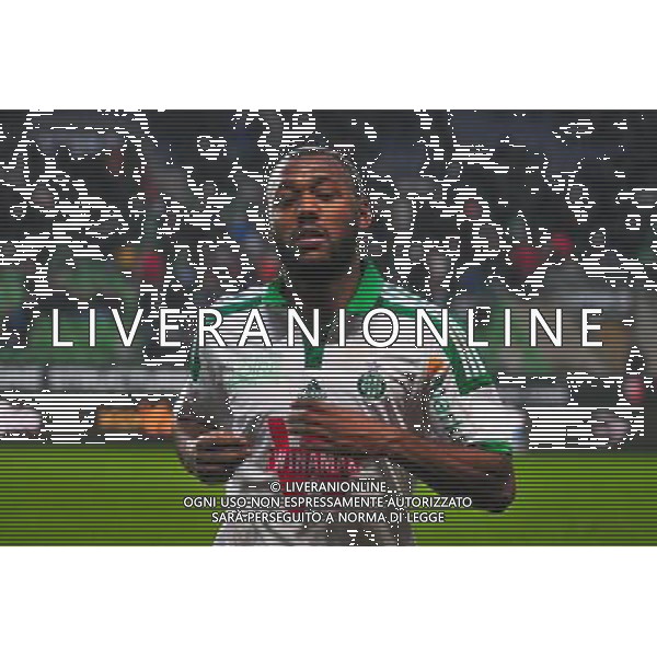 Kevin Theophile Catherine - 18.01.2015 - Rennes / Saint Etienne - 21eme journee de Ligue 1 - Photo : Philippe Le Brech / Icon Sport /Agenzia Aldo Liverani Sas - ITALY ONLY - EDITORIAL USE ONLY