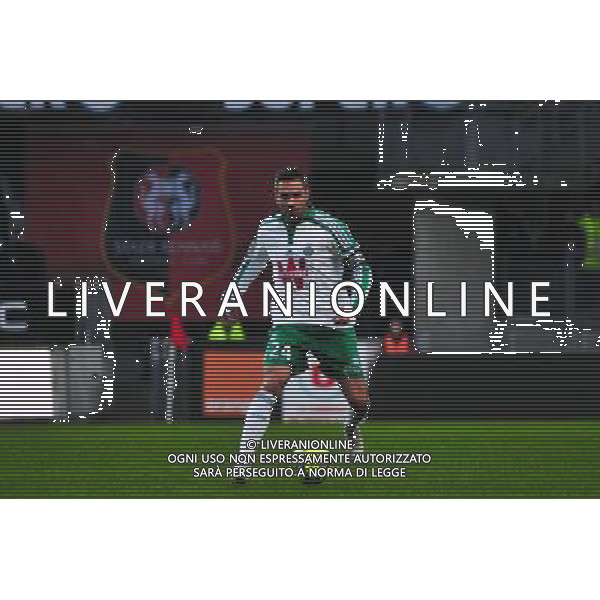 Loic Perrin - 18.01.2015 - Rennes / Saint Etienne - 21eme journee de Ligue 1 - Photo : Philippe Le Brech / Icon Sport /Agenzia Aldo Liverani Sas - ITALY ONLY - EDITORIAL USE ONLY