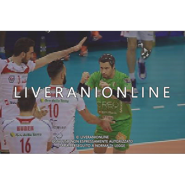 Hubert HENNO - 20.01.2015 - Paris Volley / Treia - Ligue des Champions Photo : Dave Winter / Icon Sport AG ALDO LIVERANI SAS ONLY ITALY