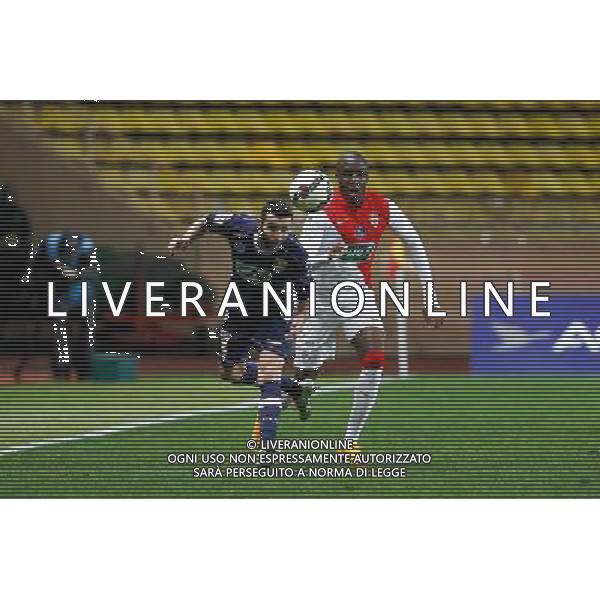 Dylan Bahamboula / Cedric Barbosa - 21.01.2015 - Monaco / Evian Thonon - Coupe de France Photo : Sebastien Nogier / Icon Sport AG ALDO LIVERANI SAS ONLY ITALY