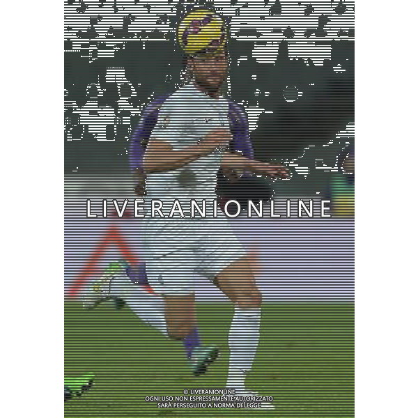 Coppa Italia TIM Cup 2014/2015 Ottavi di Finale Firenze - 21.01.2015 Fiorentina-Atalanta Nella Foto:Rolando Bianchi /Ph.Vitez-Ag. Aldo Liverani