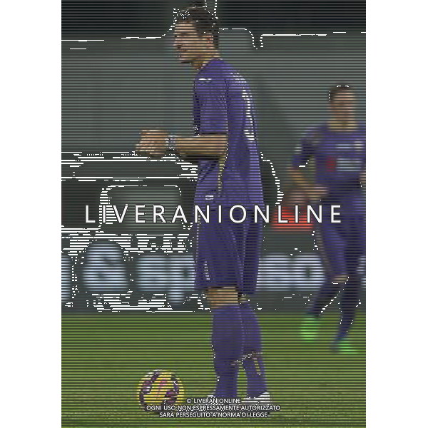 Coppa Italia TIM Cup 2014/2015 Ottavi di Finale Firenze - 21.01.2015 Fiorentina-Atalanta Nella Foto:Mario Gomez /Ph.Vitez-Ag. Aldo Liverani