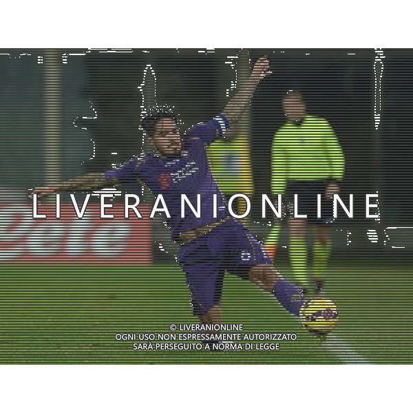 Coppa Italia TIM Cup 2014/2015 Ottavi di Finale Firenze - 21.01.2015 Fiorentina-Atalanta Nella Foto:Manuel Juan Vargas /Ph.Vitez-Ag. Aldo Liverani