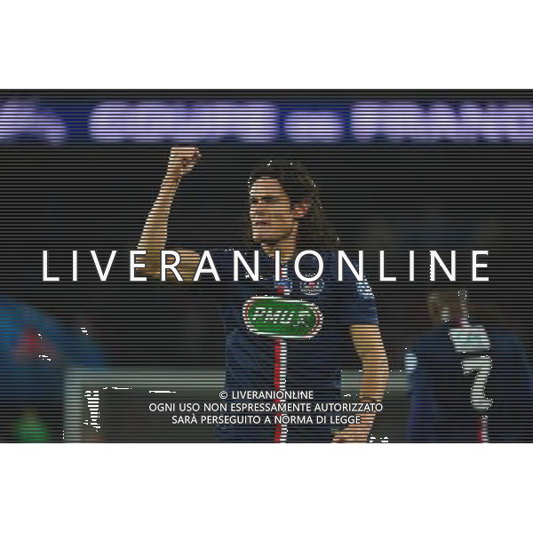 Joie Edinson CAVANI - 21.01.2015 - Paris Saint Germain / Bordeaux - Coupe de France Photo : Dave Winter / Icon Sport AG ALDO LIVERANI SAS ONLY ITALY