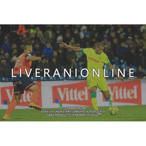 Johan AUDEL - 24.01.2015 - Montpellier / Nantes - 22eme journee de Ligue1 Photo : Nicolas Guyonnet / Icon Sport AG ALDO LIVERANI SAS ONLY ITALY