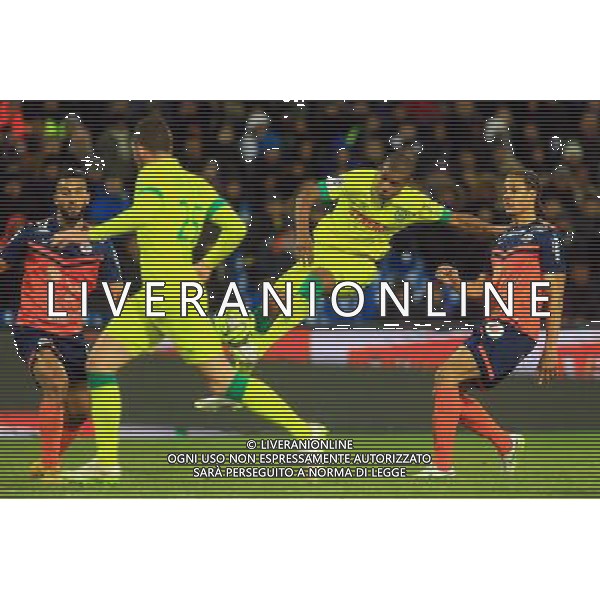 Johan AUDEL - 24.01.2015 - Montpellier / Nantes - 22eme journee de Ligue1 Photo : Nicolas Guyonnet / Icon Sport AG ALDO LIVERANI SAS ONLY ITALY