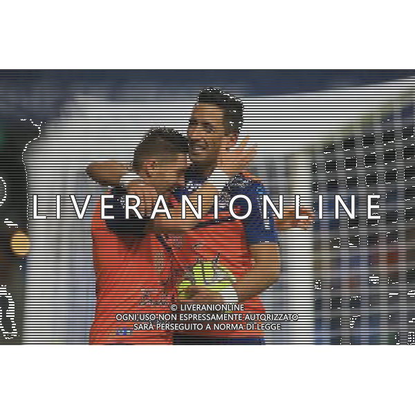 joie Anthony MOUNIER / Lucas BARRIOS - 24.01.2015 - Montpellier / Nantes - 22eme journee de Ligue1 Photo : Nicolas Guyonnet / Icon Sport AG ALDO LIVERANI SAS ONLY ITALY
