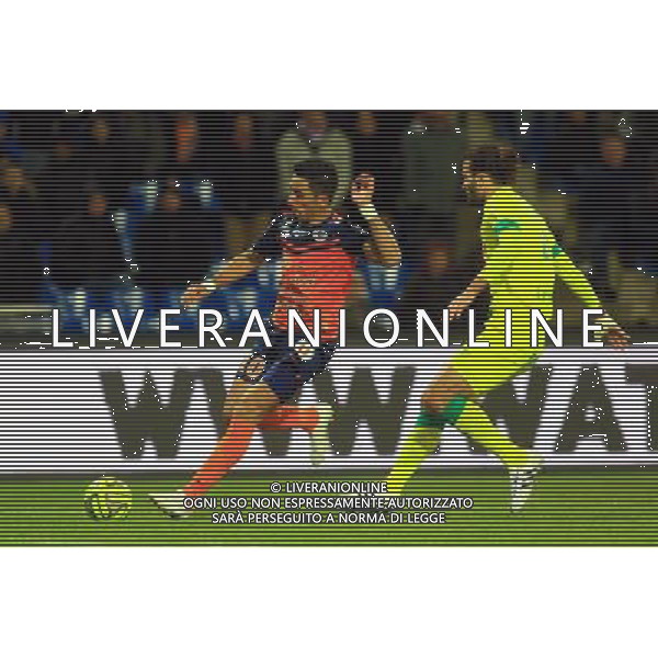 Lucas BARRIOS - 24.01.2015 - Montpellier / Nantes - 22eme journee de Ligue1 Photo : Nicolas Guyonnet / Icon Sport AG ALDO LIVERANI SAS ONLY ITALY