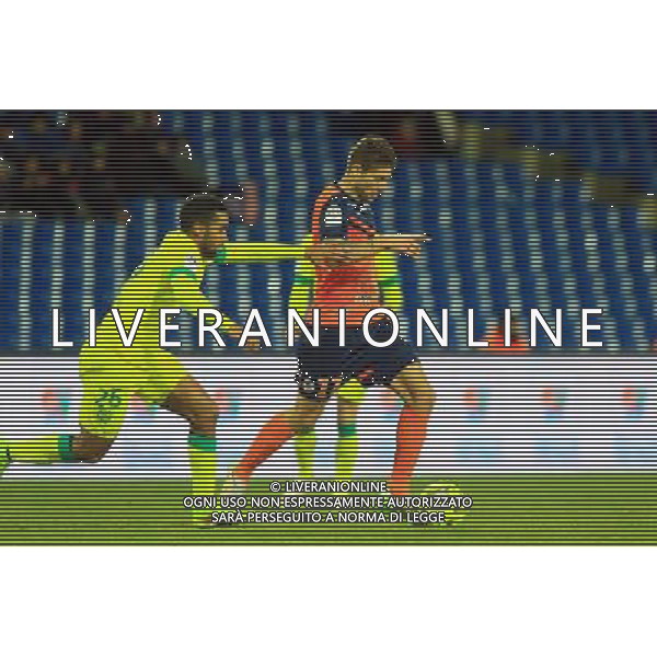 Paul LASNE - 24.01.2015 - Montpellier / Nantes - 22eme journee de Ligue1 Photo : Nicolas Guyonnet / Icon Sport AG ALDO LIVERANI SAS ONLY ITALY